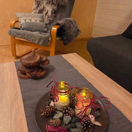 Apartment Haus Harzlich Braunlage