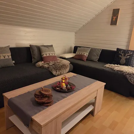 公寓 Haus Harzlich