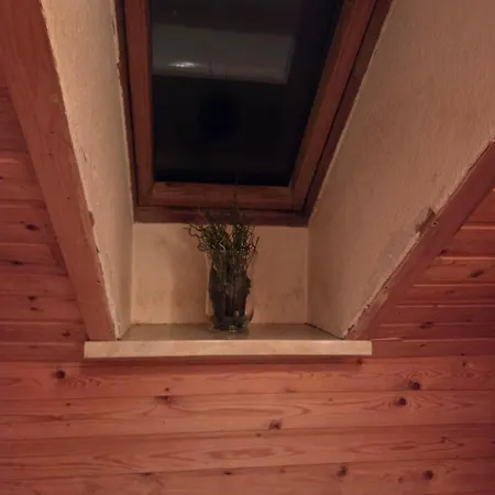 Haus Harzlich Apartment